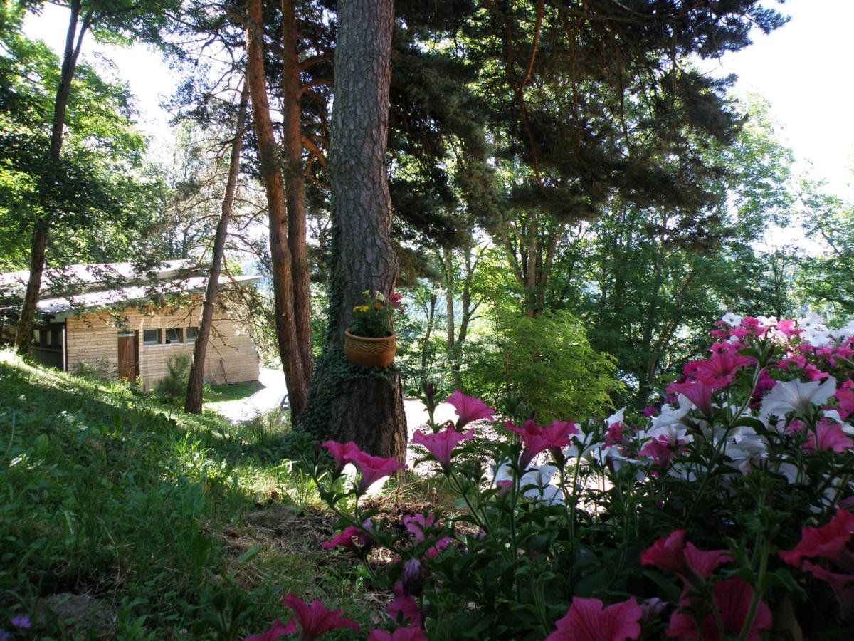 Lavastrie Le Grand Val Bed & Breakfast エクステリア 写真